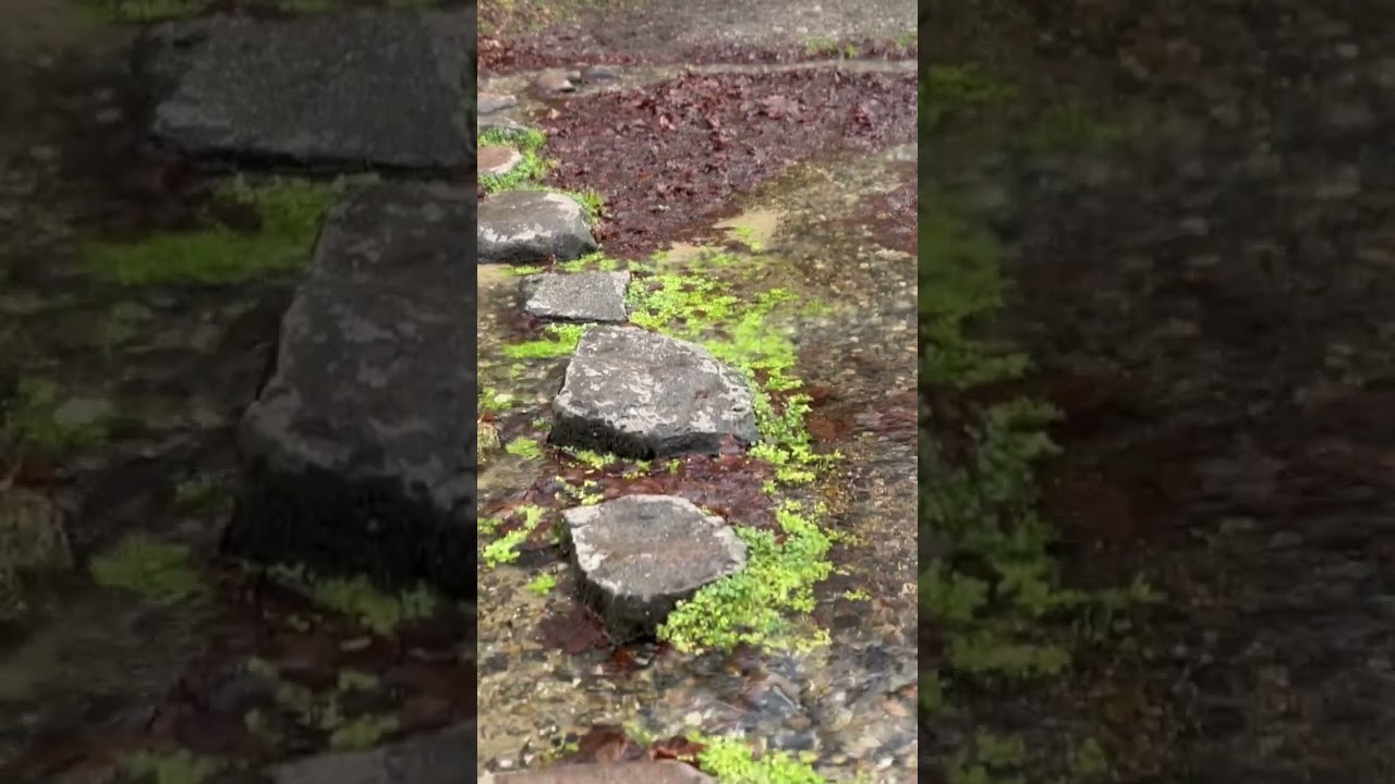 “Welcome to Ravnkilde in the heart of Denmark’s Rebild Hills!”