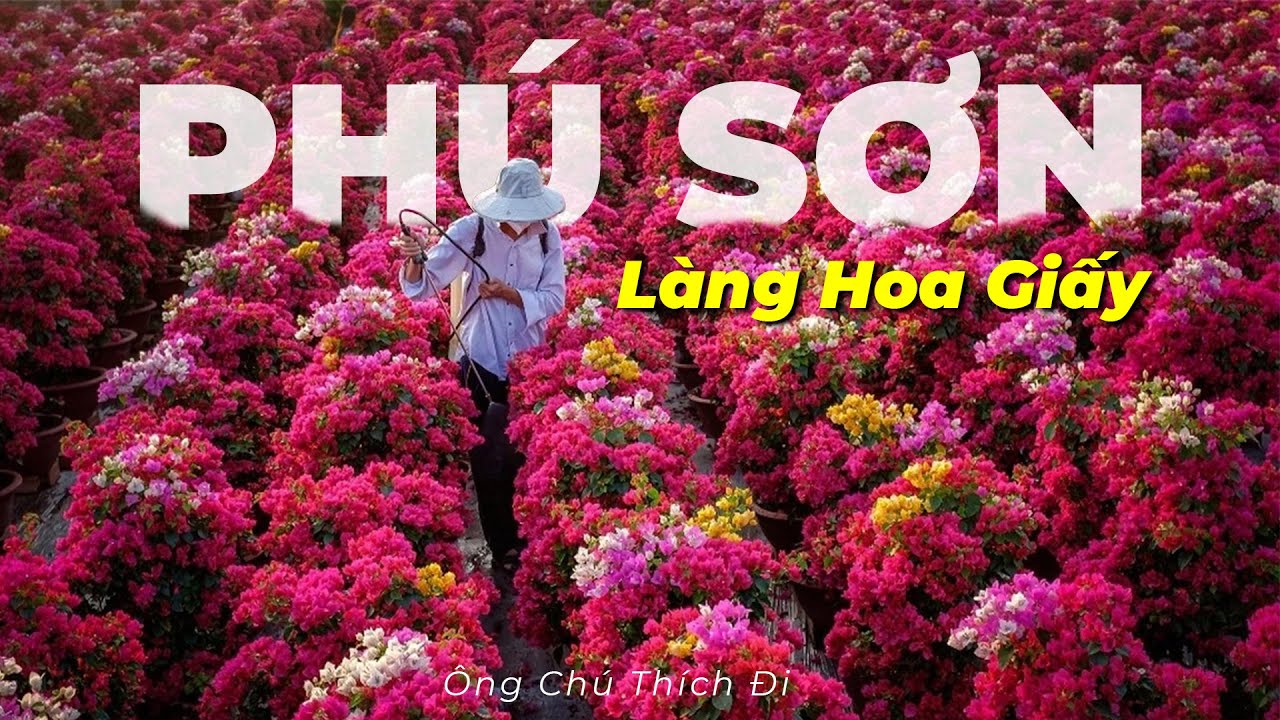 Bến Tre Cận Tết 2026: Choáng Ngợp 