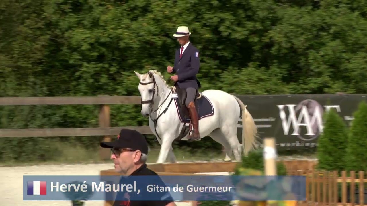 Maneability Test (3rd part) – European Championship Working Equitation – Obořiště (CZE) 20. 9. 2024