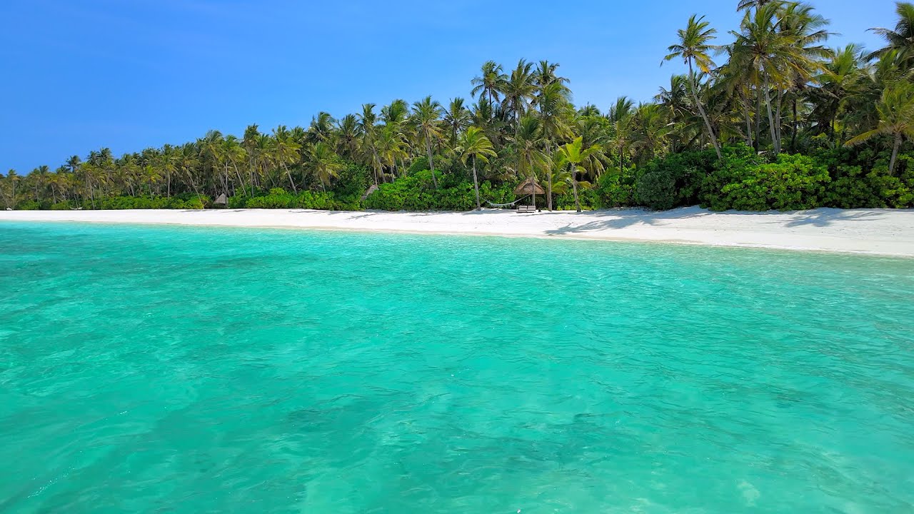 Paradise Found: Ocean and Wild Beach! Maldives 4K ULTRA HD