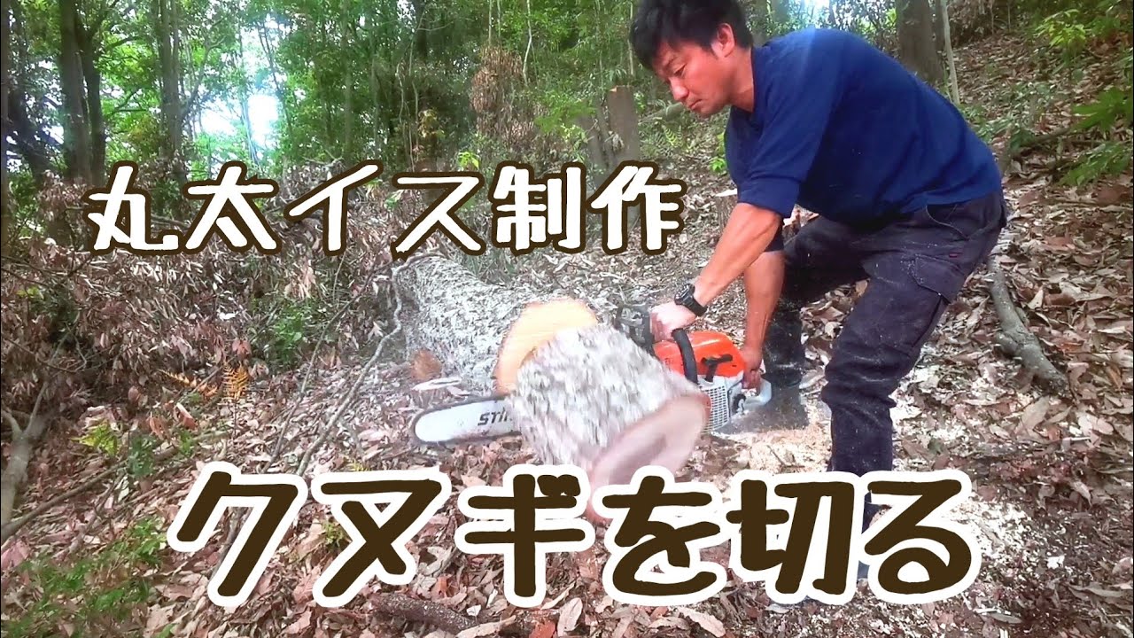 【WOODJOB】クヌギを玉切りにして丸太イスをつくる！雑木林は資源の宝庫