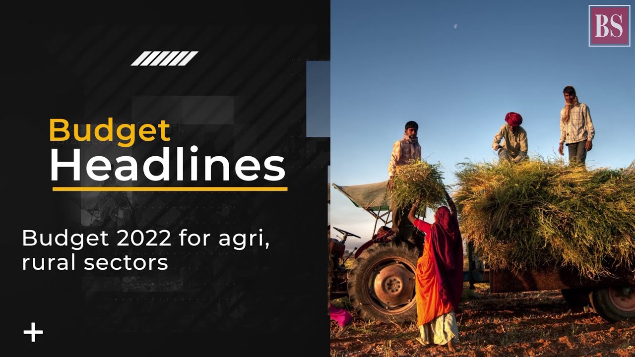What farm and rural sectors can expect from Sitharaman in Budget 2022