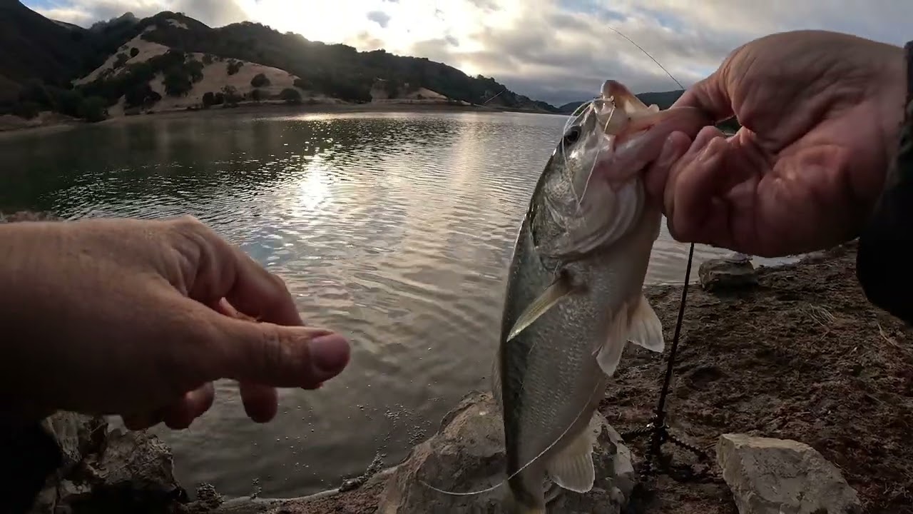 San Jose Bass Fishing : Uvas Reservoir