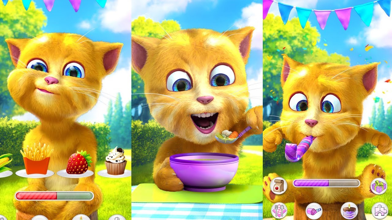 Ginger Cat 🍠🍑🍆🍉🍉🍇🍊🌶️