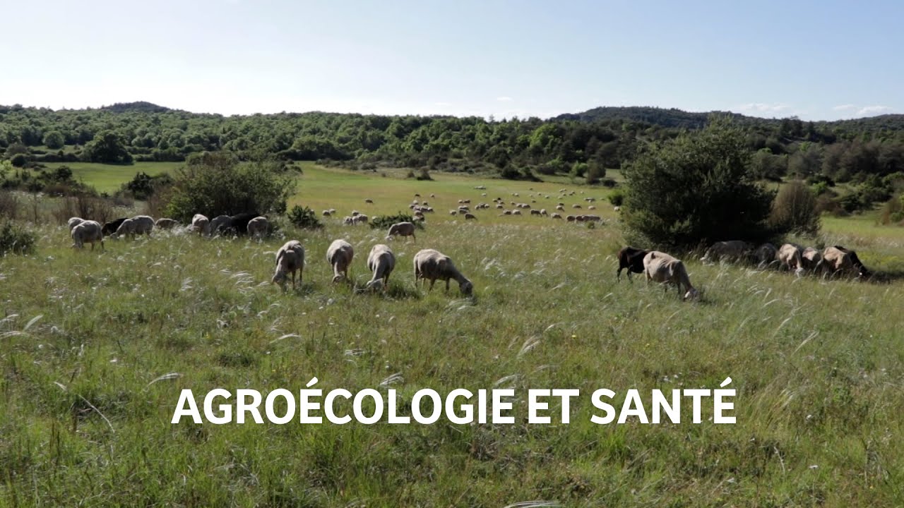 La santé Globale en élevage #2 - Agroécologie et Santé