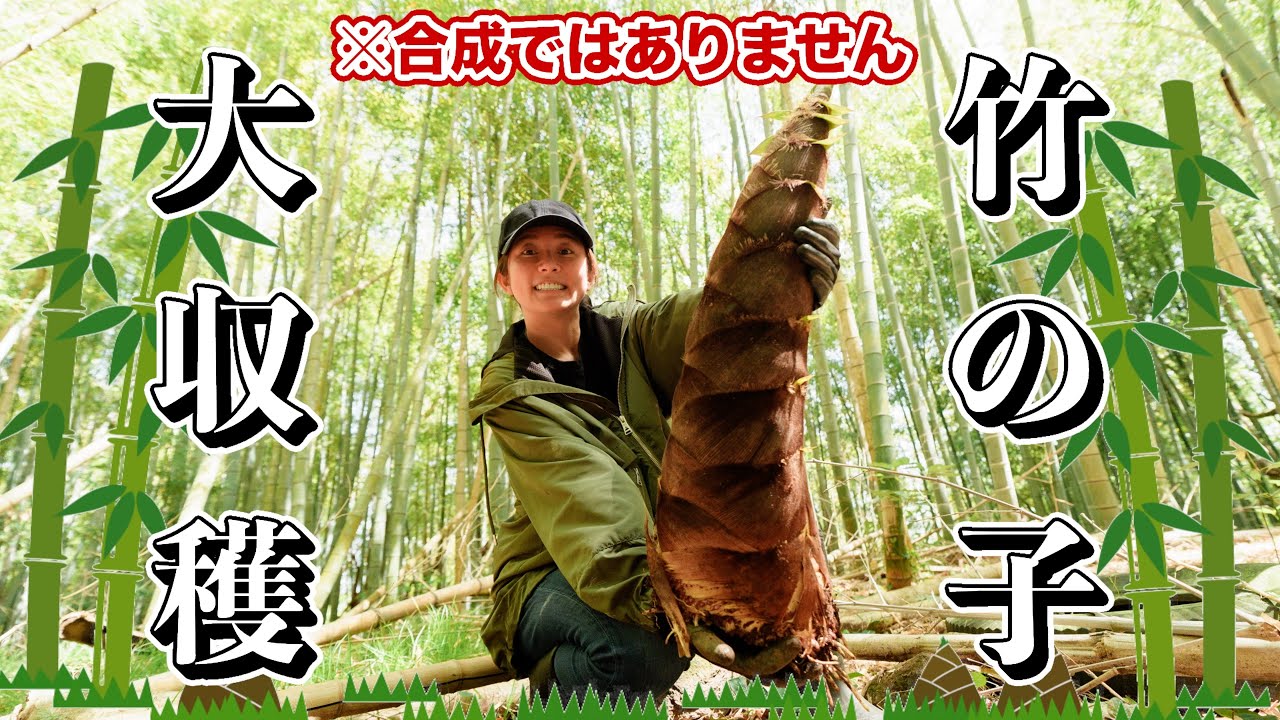 【静岡】採ったどー！！！【たけのこ掘り】