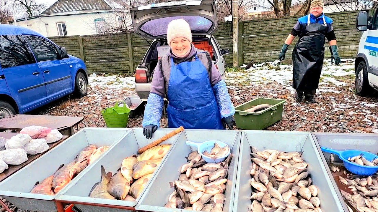 Ціни на живу рибу Березань‼️Рибне місце👍Жінка відправила на рибалку😭50 кг риби😭Хочеш заробляти тре..