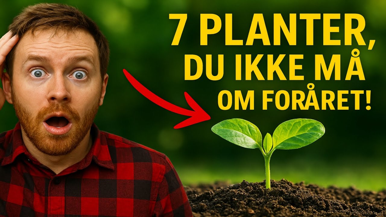 **7 planter, du IKKE må så om foråret! | Hemmeligheden bag vintersåning til en kæmpe høst**