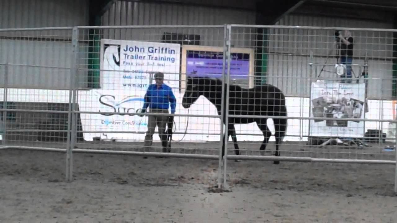 Monty Roberts, Spooky Horse, Jasper Part 1