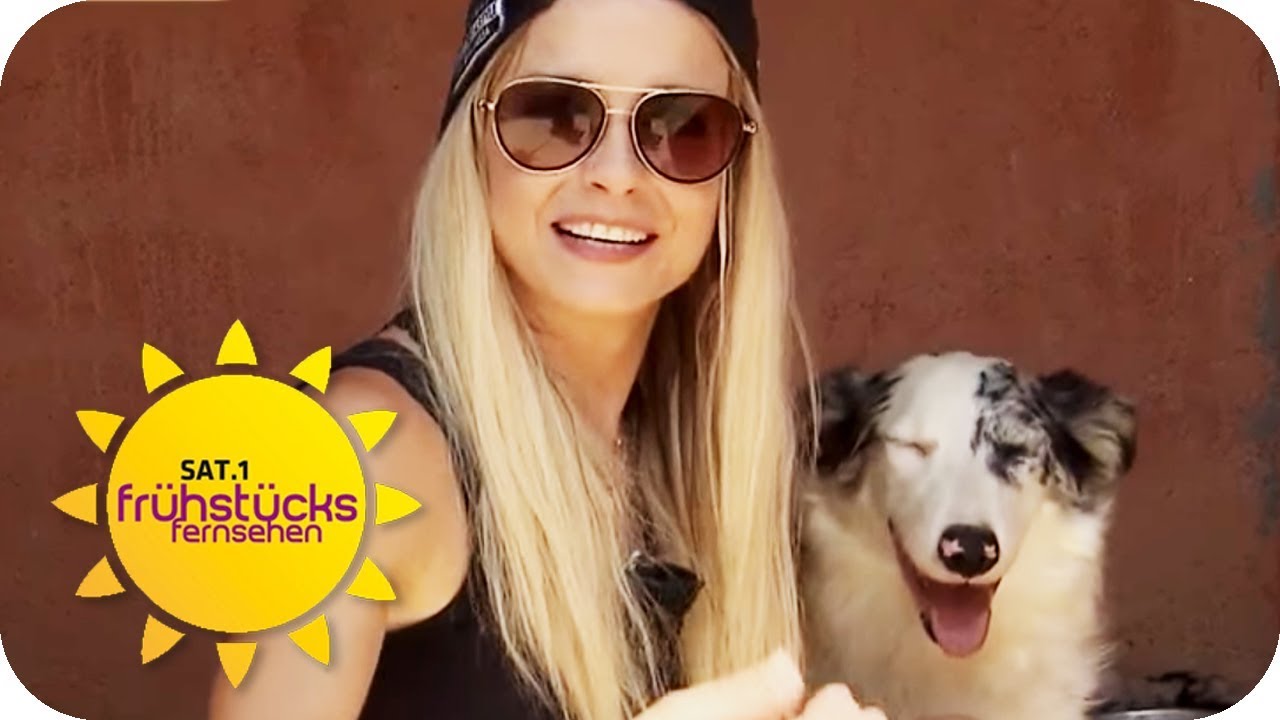 Schlager-Star Mia Julia rettet Straßenhunde auf Mallorca | SAT.1 Frühstücksfernsehen | TV