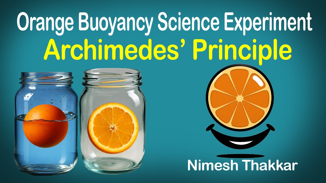 Why do whole oranges float, but peeled oranges sink? I Archimedes' principle I Nimesh Thakkar 
