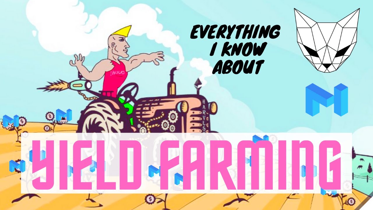 How to CHAD YIELD FARM | Full Tutorial with Essential Resources