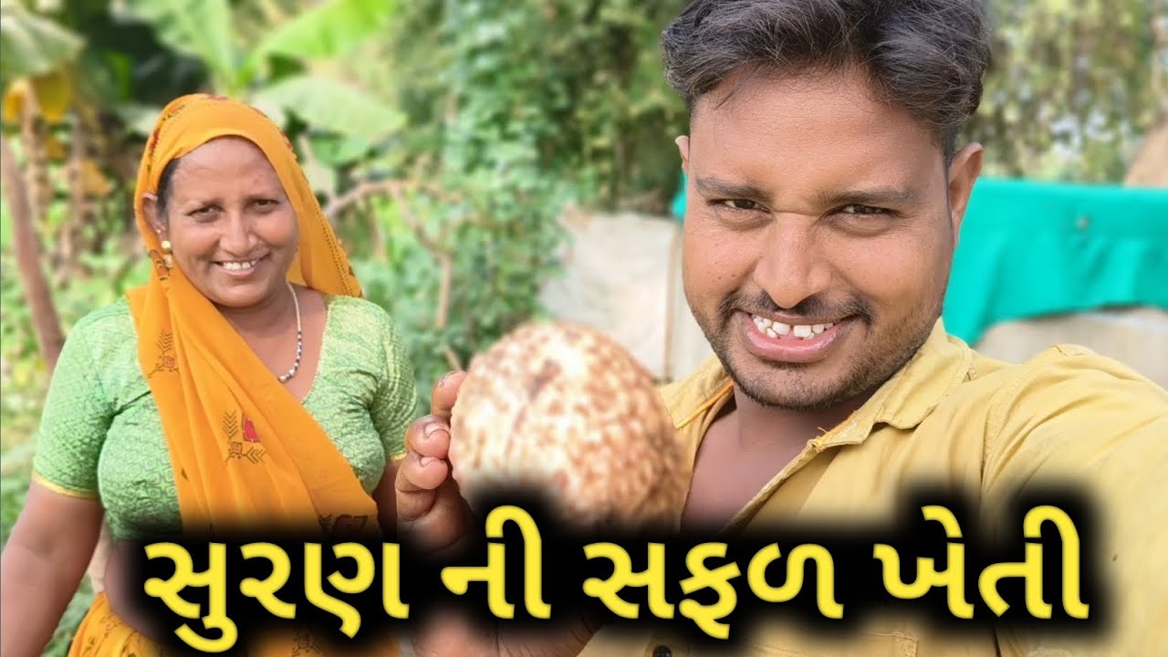 સુરણ ની સફળ ખેતી 🥦☺️.  // @Pravin-vlog-p // #farming #viralvideo #song #villagelife 