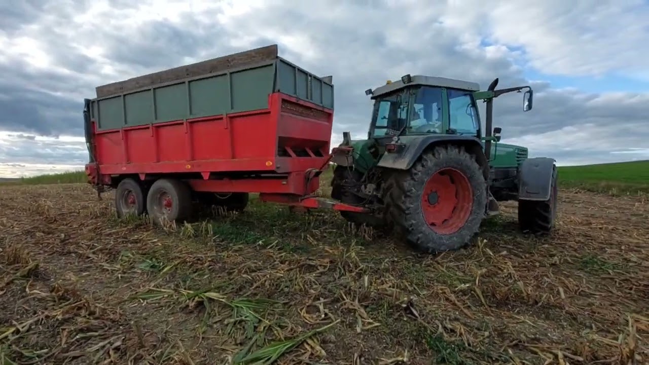 Dalszy ciąg zmagań ze zbiorami kukurydzy na Podlasiu 🌽