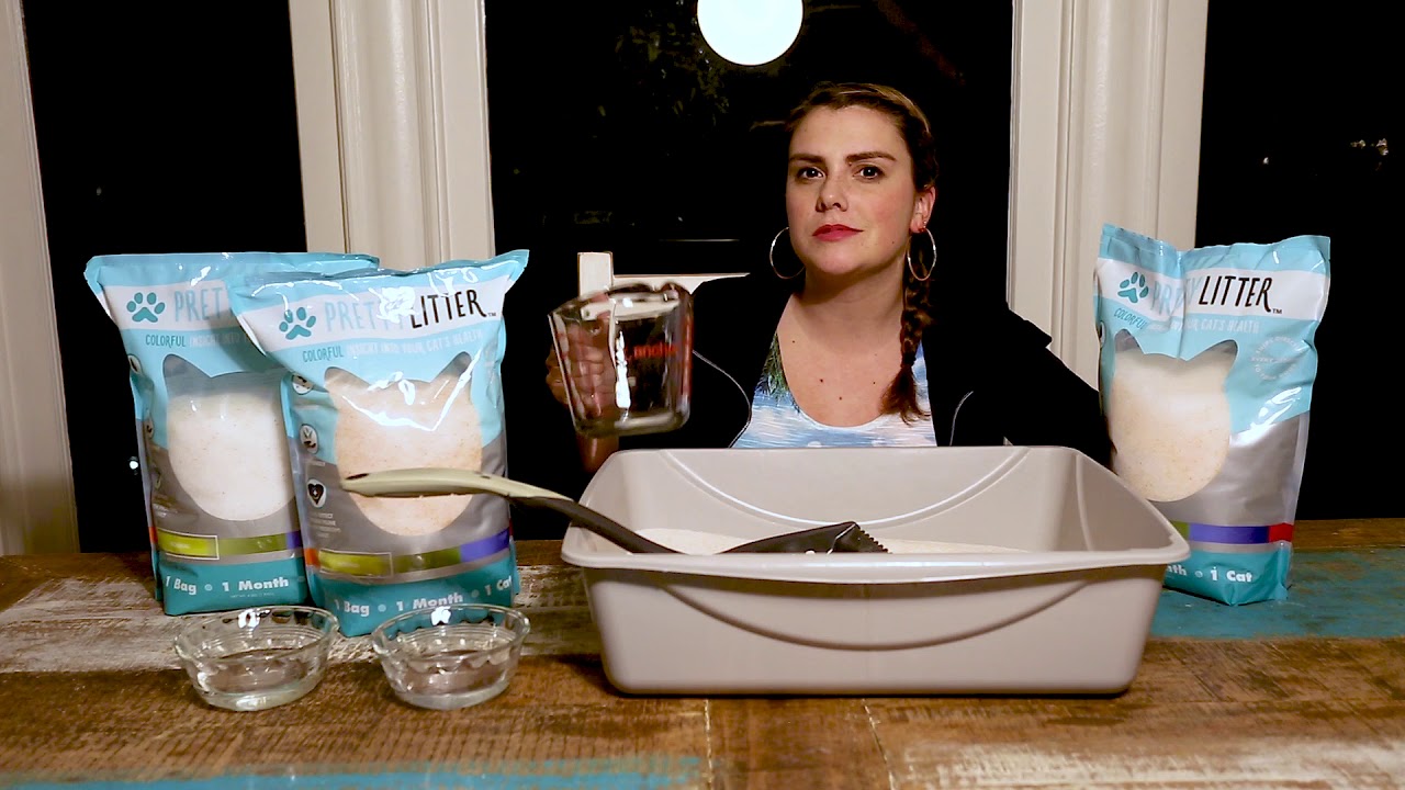PrettyLitter Presents The Daily Scoop with Kristen
