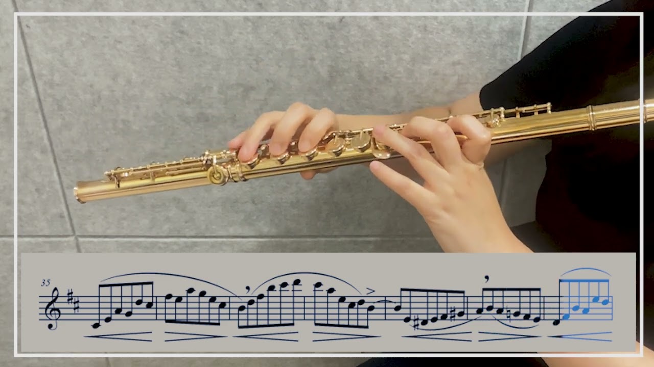 Gariboldi Flute Etudes  Op. 132  No. 8  D Major