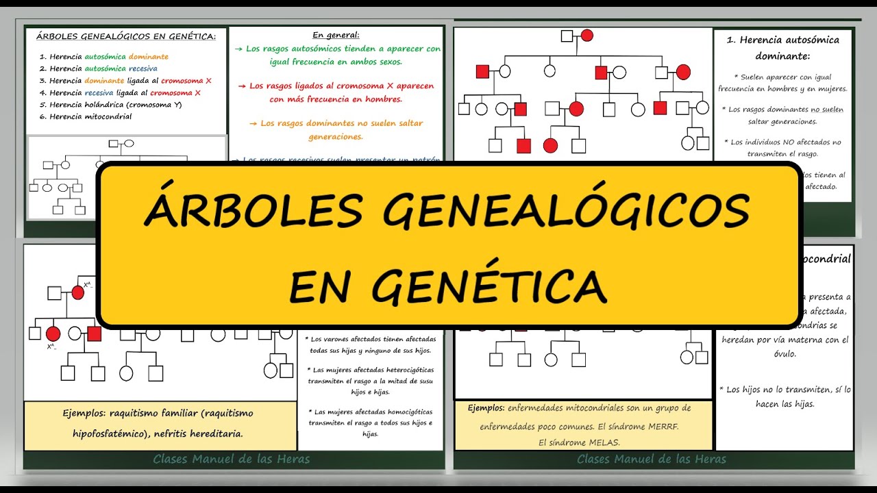 Árboles Genealógicos en Genética. Patrones de Herencia en Genealogías. Genética. Biología.