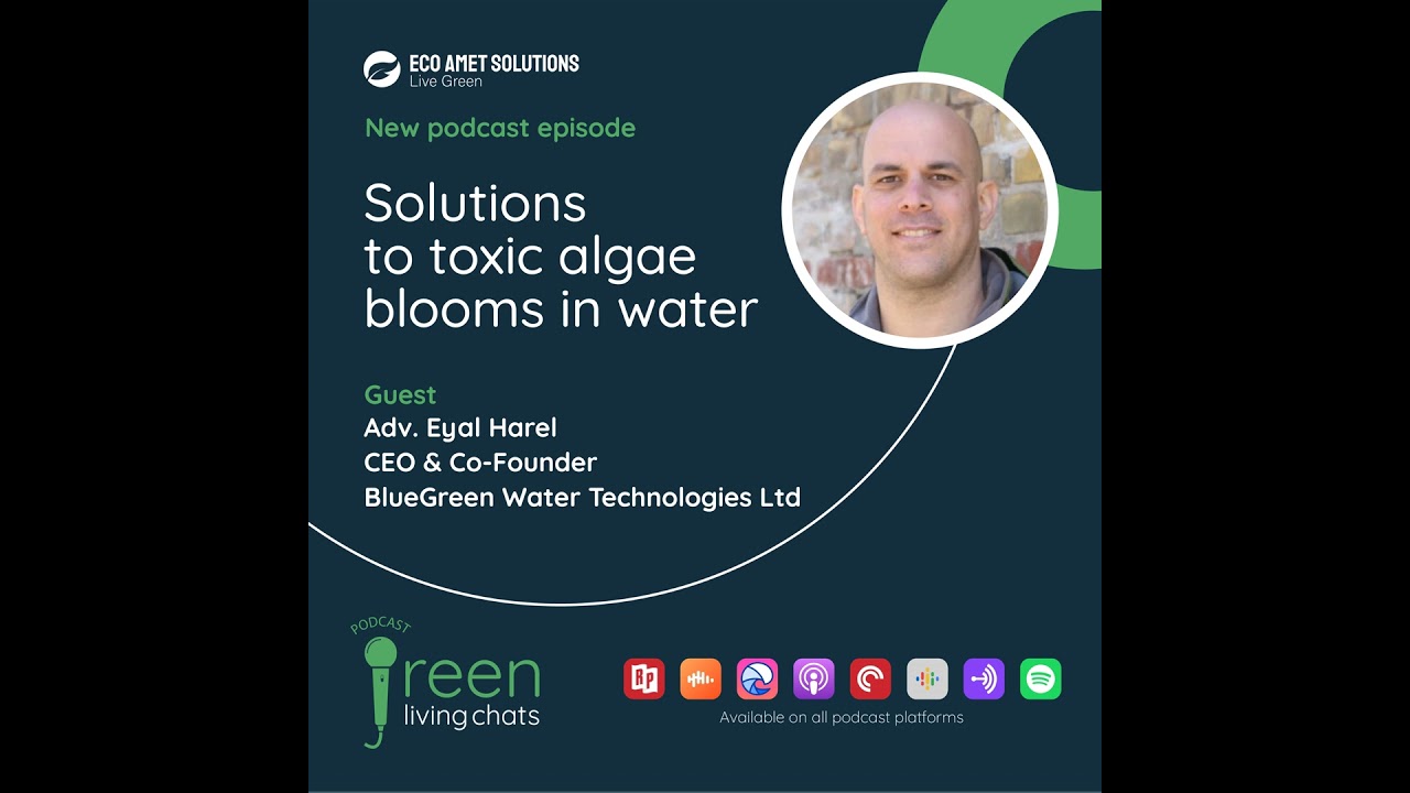 Solutions to toxic algae blooms in freshwater bodies | Eyal Harel