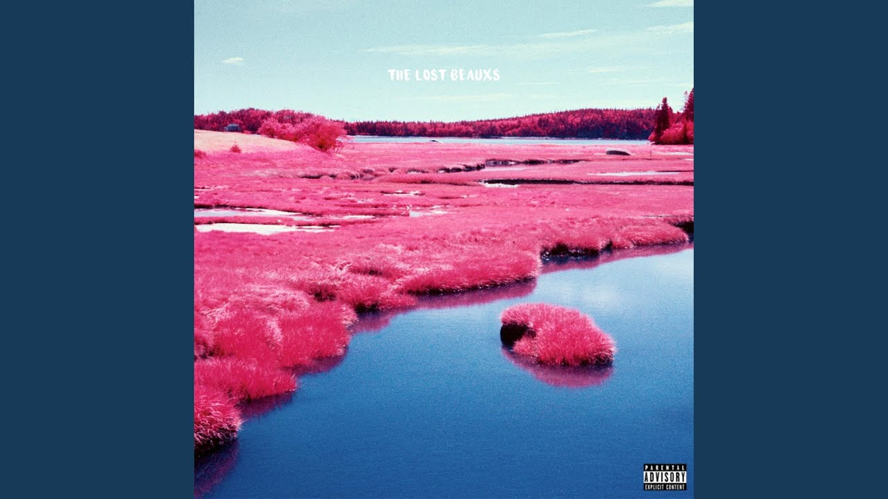 Private Dancer (feat. PnbRock)