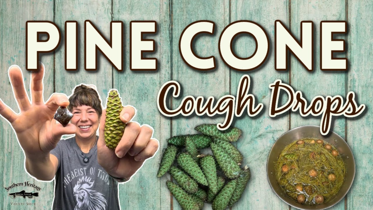 Pine Cone Cough Drops - The DIY Remedy That Actually Works
