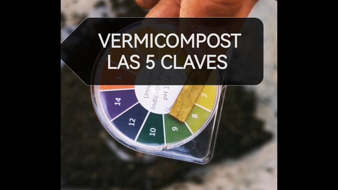 El Lombricero - Vermicompost LAS 5 CLAVES 🖐 Humus de lombriz