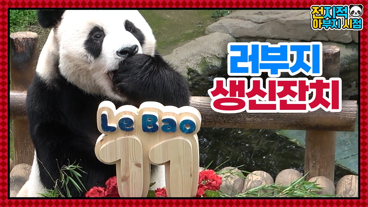 (SUB) Отец трех дочерей, вечеринка по случаю 11-летия Лебао!│ Panda World🐼