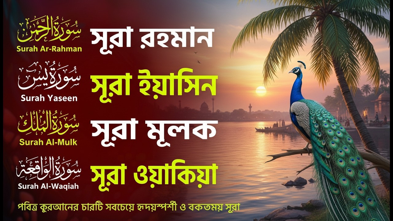 প্রতিদিন শুনুন সূরা ইয়াসিন, রহমান, মূলক ও ওয়াকিয়া | Surah Rahman, Yaseen, Mulk, Waqiah Recitation