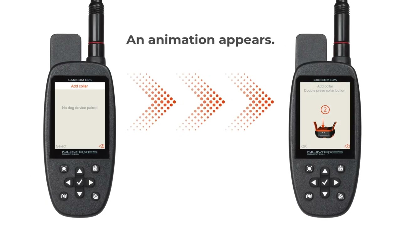 CANICOM GPS : adding a collar