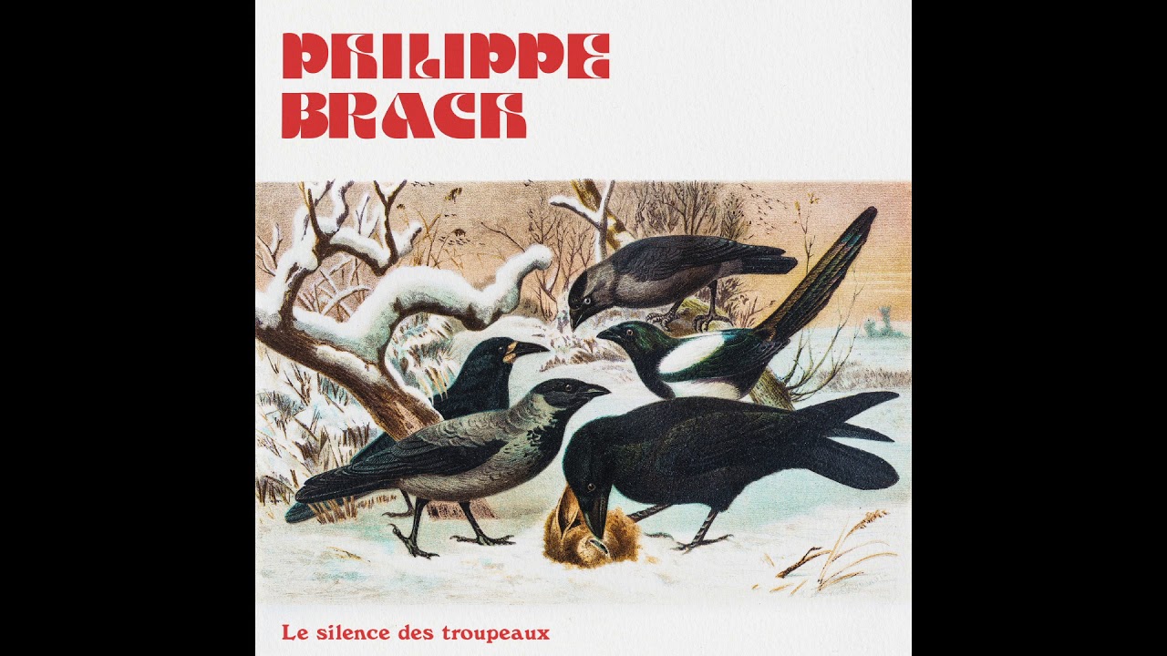 Philippe Brach - Troupeaux