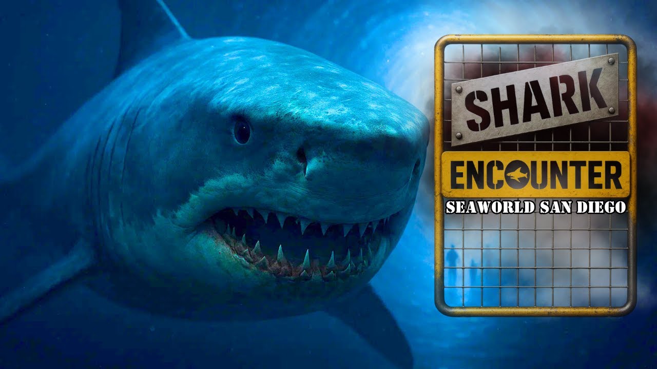 Shark Encounter 4K POV | SeaWorld San Diego Walkthrough