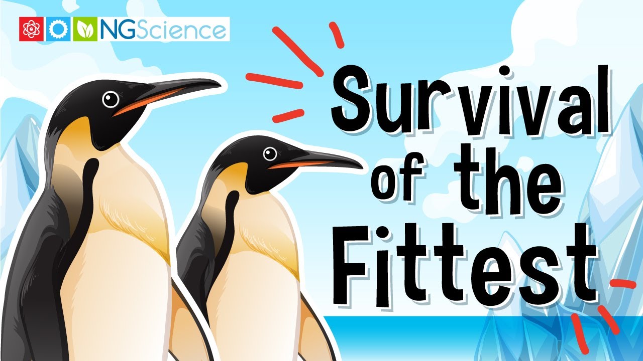 Survival of the Fittest