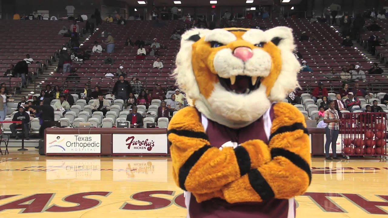 TxSU Harlem Shake (Official)