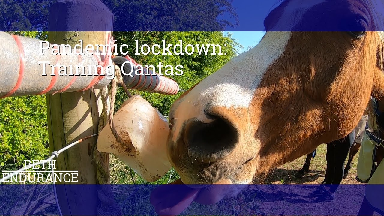 Week 5 Pandemic lockdown :  Training Qantas without riding - Vlog 2 - Beth Endurance.