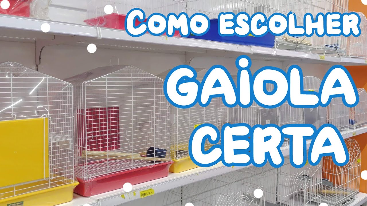COMO ESCOLHER A GAIOLA CERTA - Periquitos Australianos | Batatube