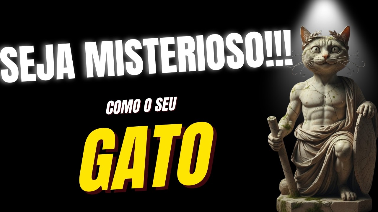 Aprenda a ser misterioso em menos de 8 minutos!!!! seguindo seu Gato e o Estoicismo