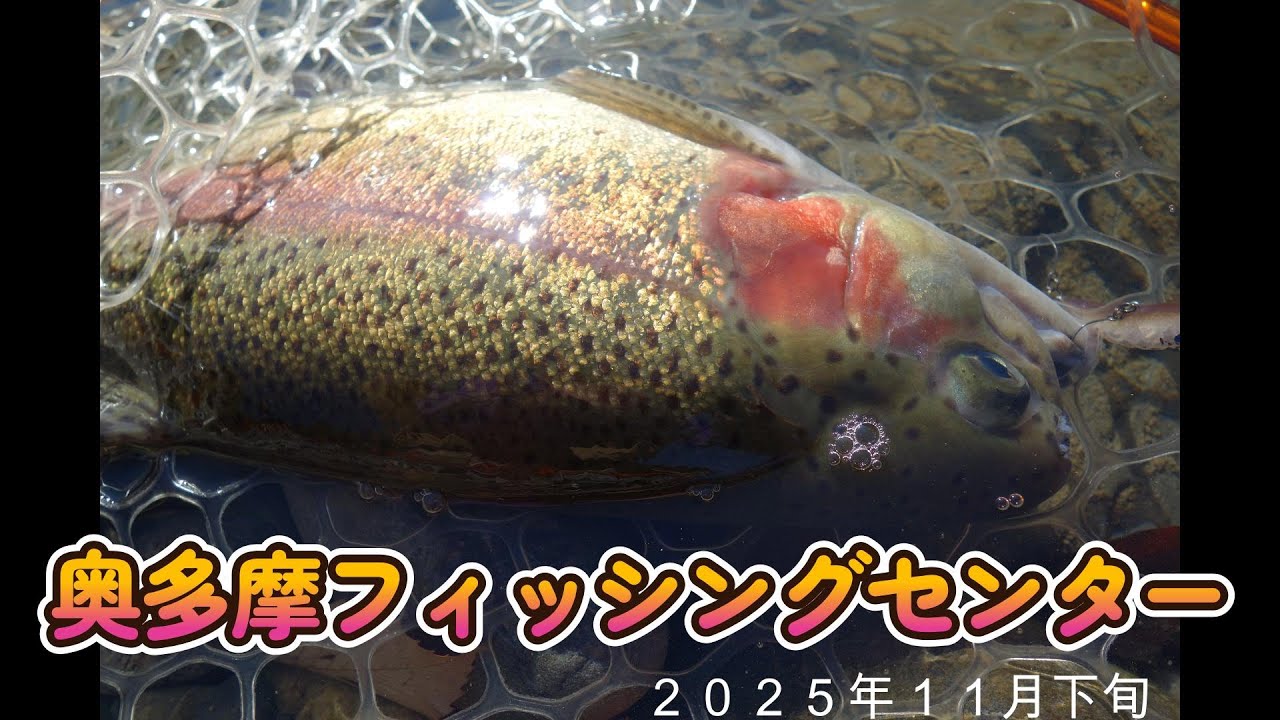 奥多摩フィッシングセンター２０２５/１１下旬