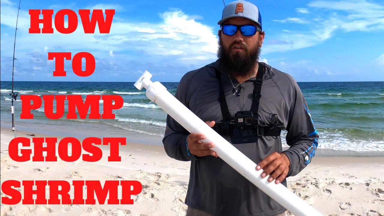 HOW to PUMP GHOST SHRIMP {BEST SURF FISHING BAIT}