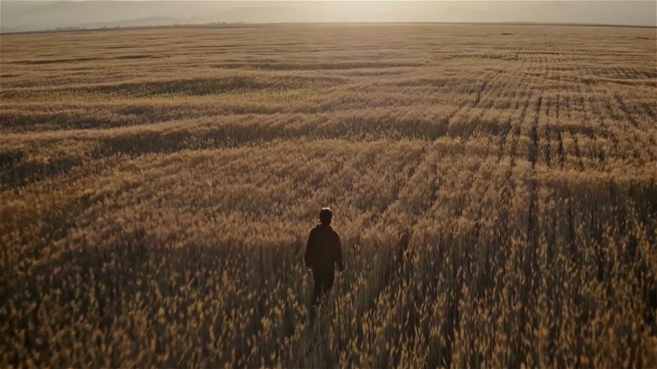 Crop Fields (2017)