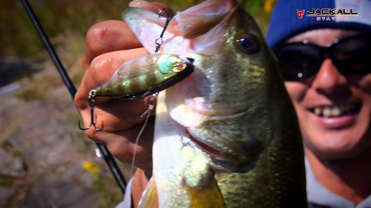 2015 TN series New color line up. / TNシリーズ新色を徹底解説。
