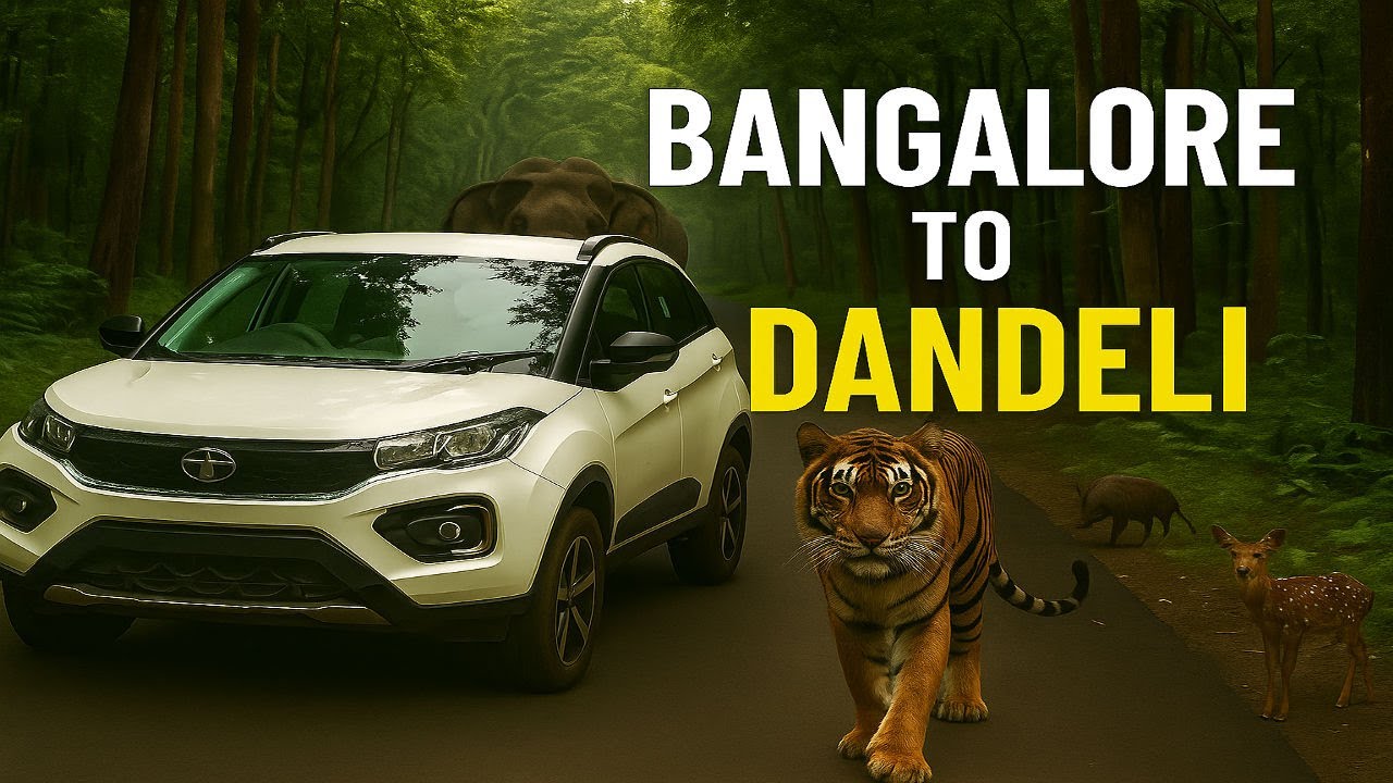 BANGLORE TO DANDELI Road Trip 🚗💨| Monsoon Ride | Safari | Adventure #youtube  #travel #dandeli #new