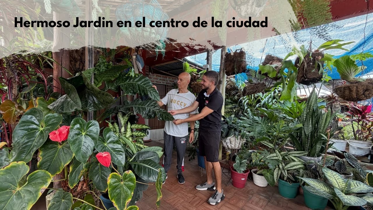 Construyo un IMPRESIONANTE JARDIN URBANO en pleno centro de la ciudad 