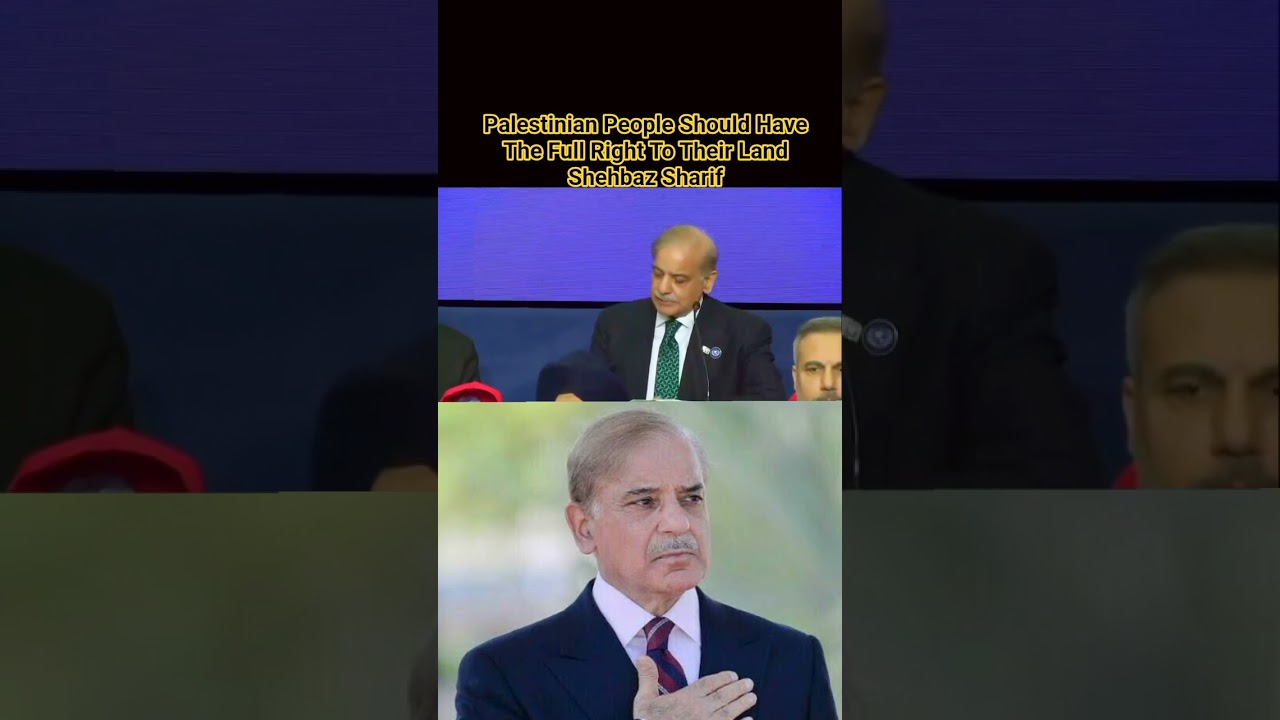 Палестинский народ должен иметь полное право на свою землю #shebazsharif #pakistan #palestine