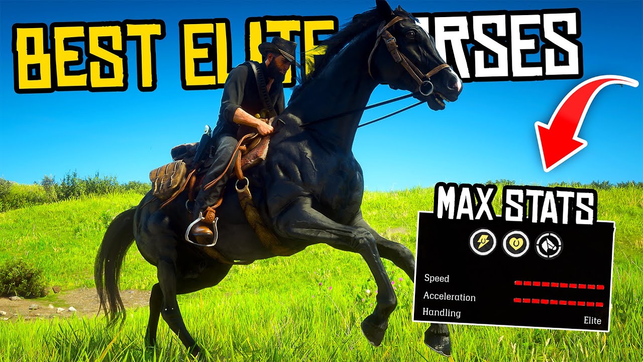 3 Best ELITE Horses in Red Dead Redemption 2