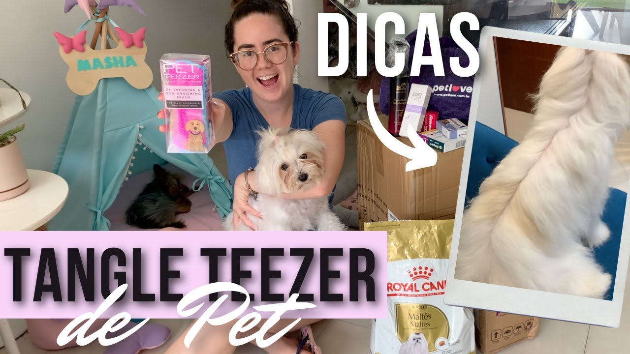 COMO CUIDO DO PELO DA MINHA MALTES + mostrando a PET TEEZER | Isabelle Oliveira