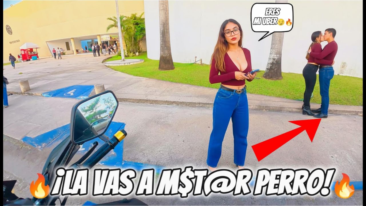 🔥Observaciones Diarias#31🔥La vas a M4t4r perro!🔥