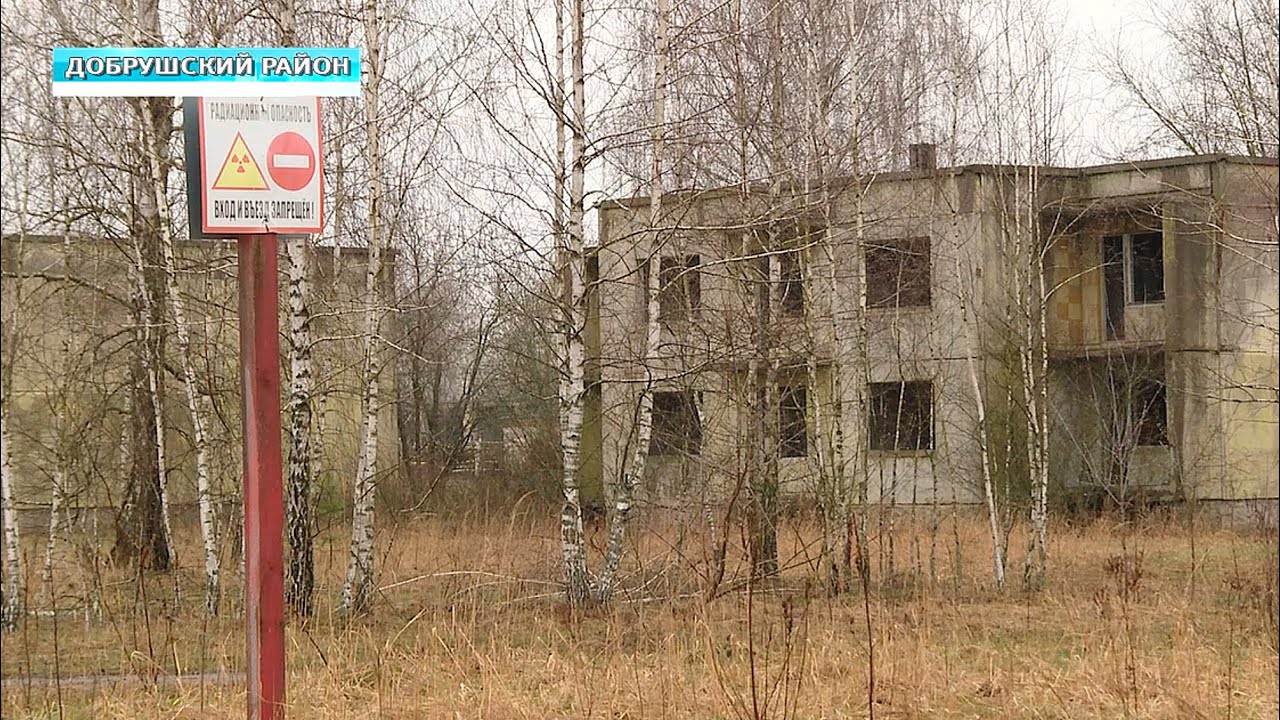 К годовщине Чернобыля. Отселённая зона