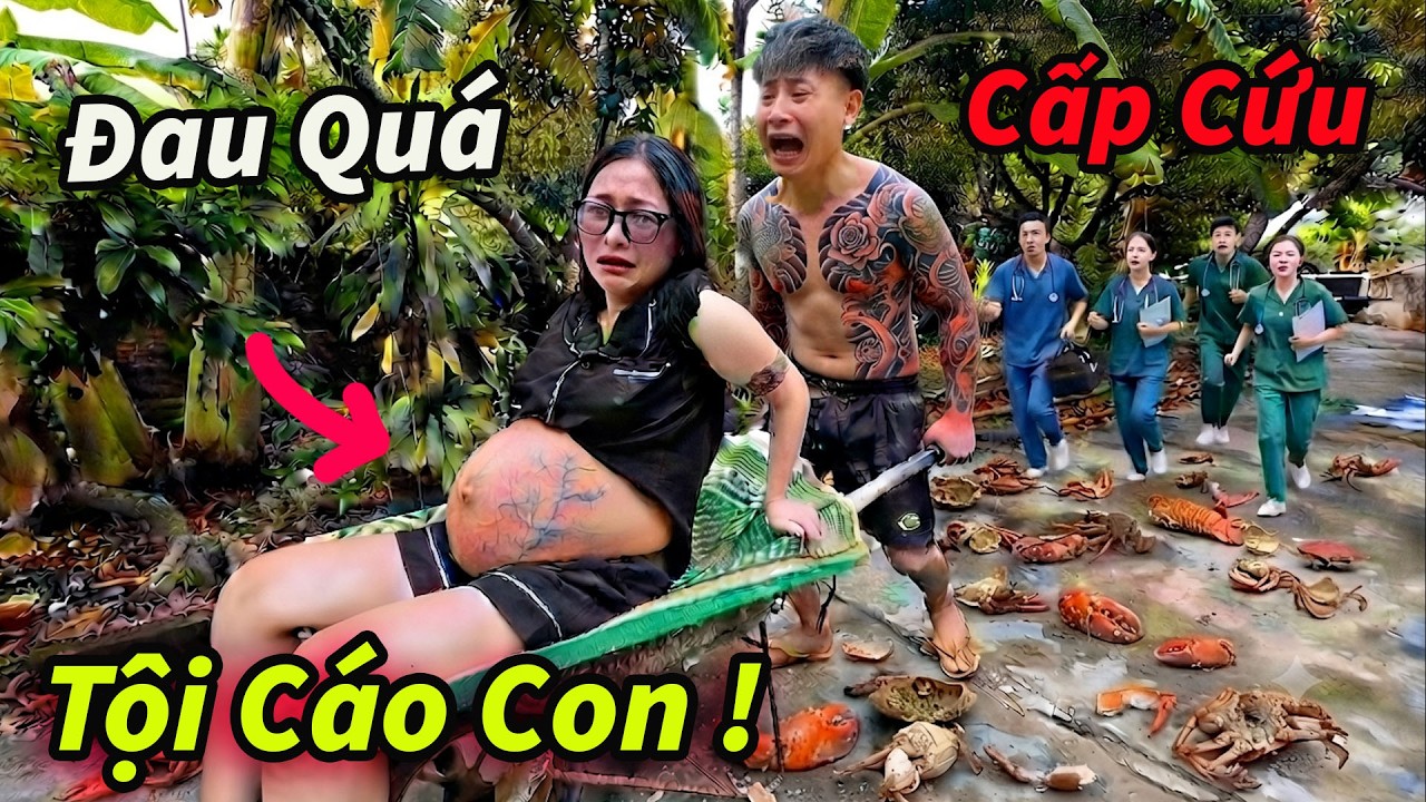 Hậu C&aacute;o Đ&atilde;i My Ăn M&acirc;m Cua Gạch || V&agrave;o Viện Gấp !