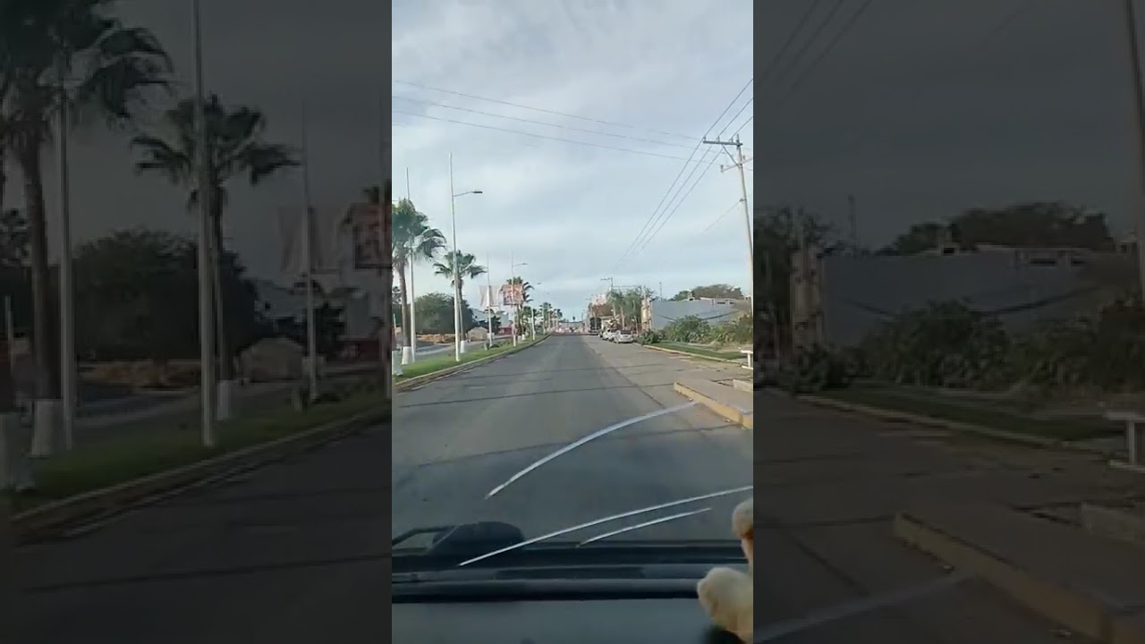1 de enero de 2026