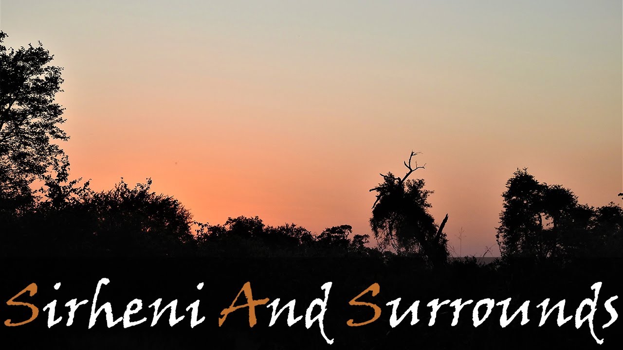 Game Viewing & Bird Watching In & Around Sirheni Bushveld Camp, Video Report | Stories Of The Kruger