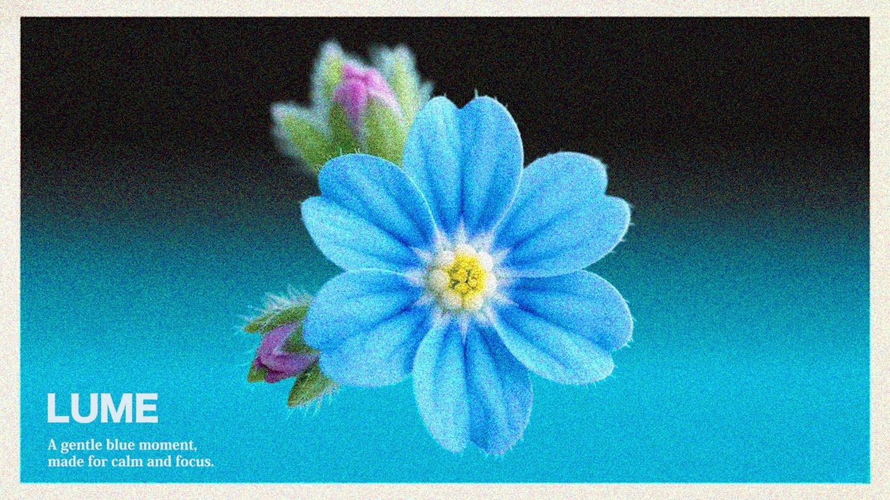 Blue Stillness | Chill Beats for Deep Focus